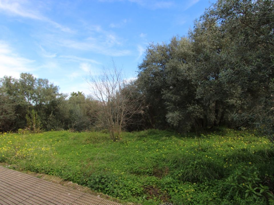 Helårsgrund i Orba, Alicante - foto 4