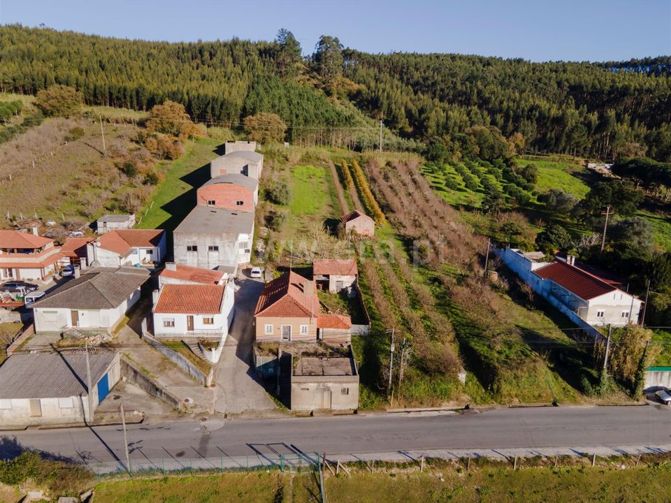 Villa i Alcobaca, Leiria - bilde 2