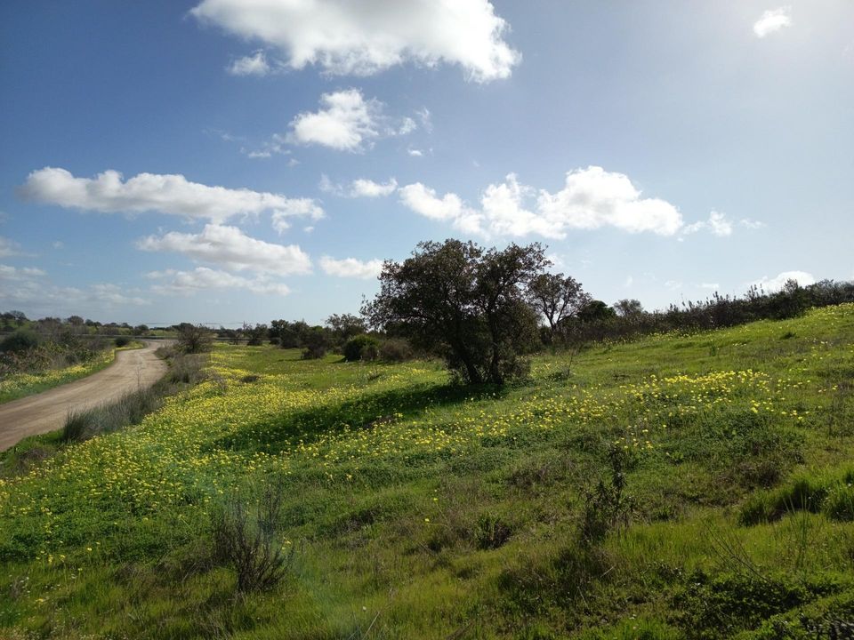 Helårsgrund i Villablanca, Huelva - foto 1