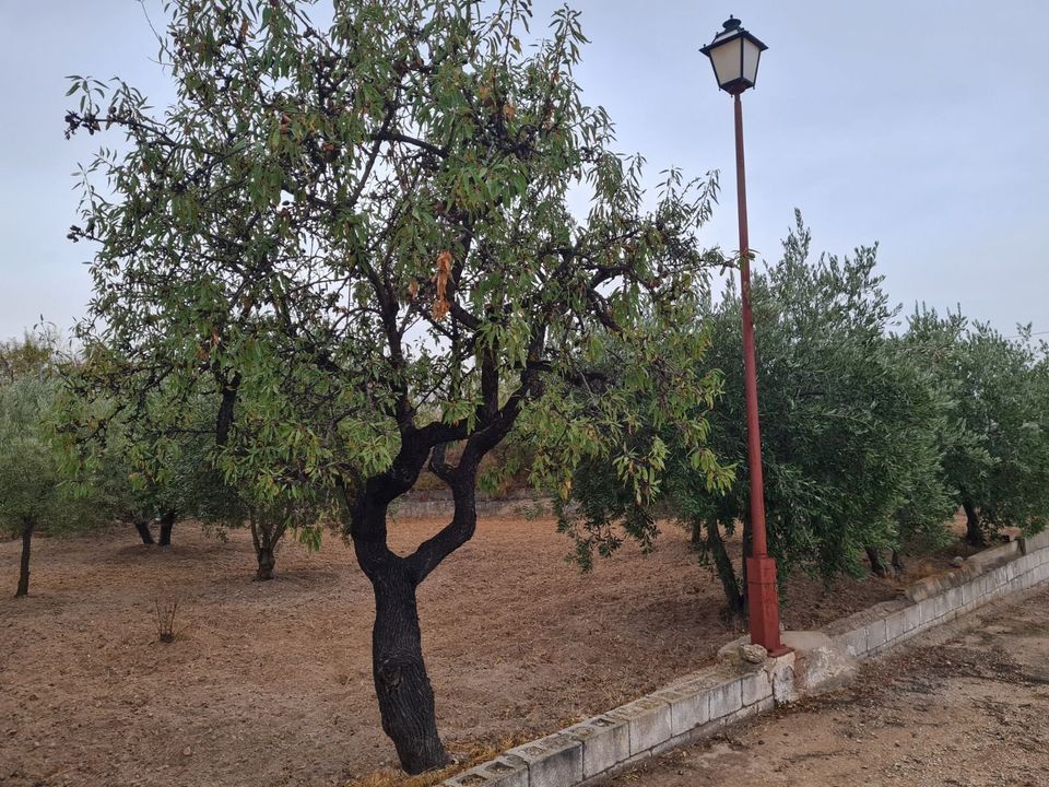 Villa i Elda, Alicante - foto 3