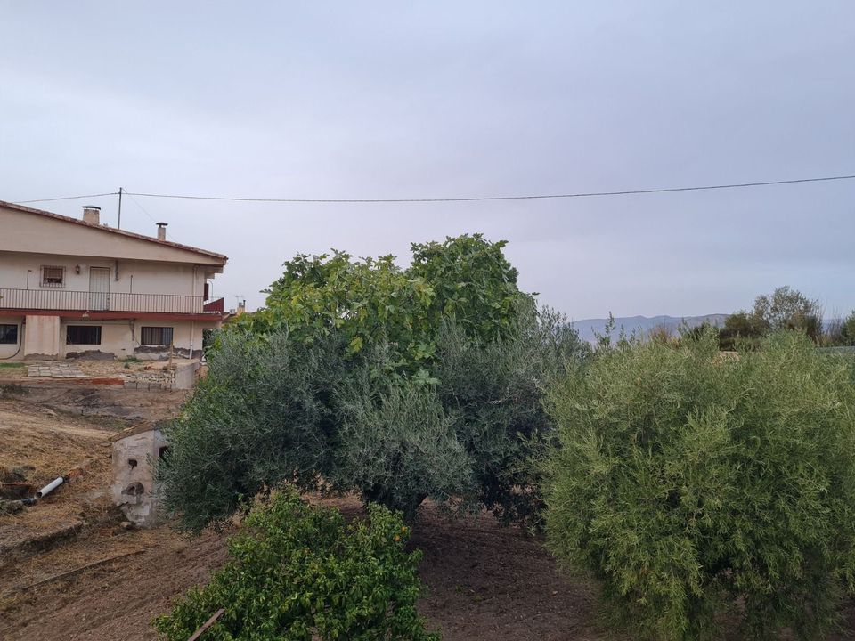 Villa i Elda, Alicante - foto 5