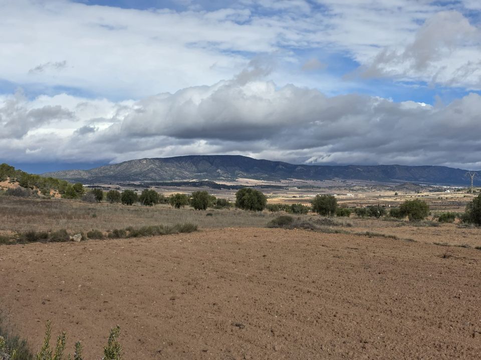 Helårsgrund i Encebras, Alicante - foto 4