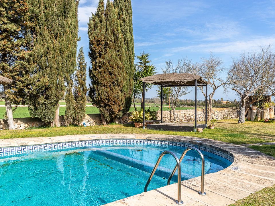 Finca i Felanitx, Mallorca - foto 2