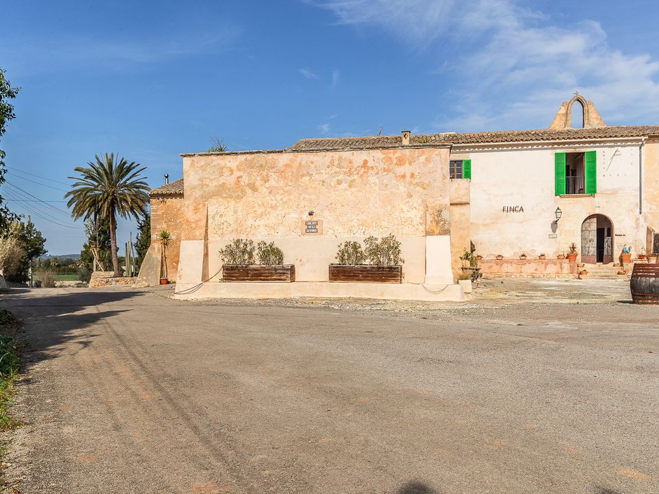 Finca i Felanitx, Mallorca - foto 3