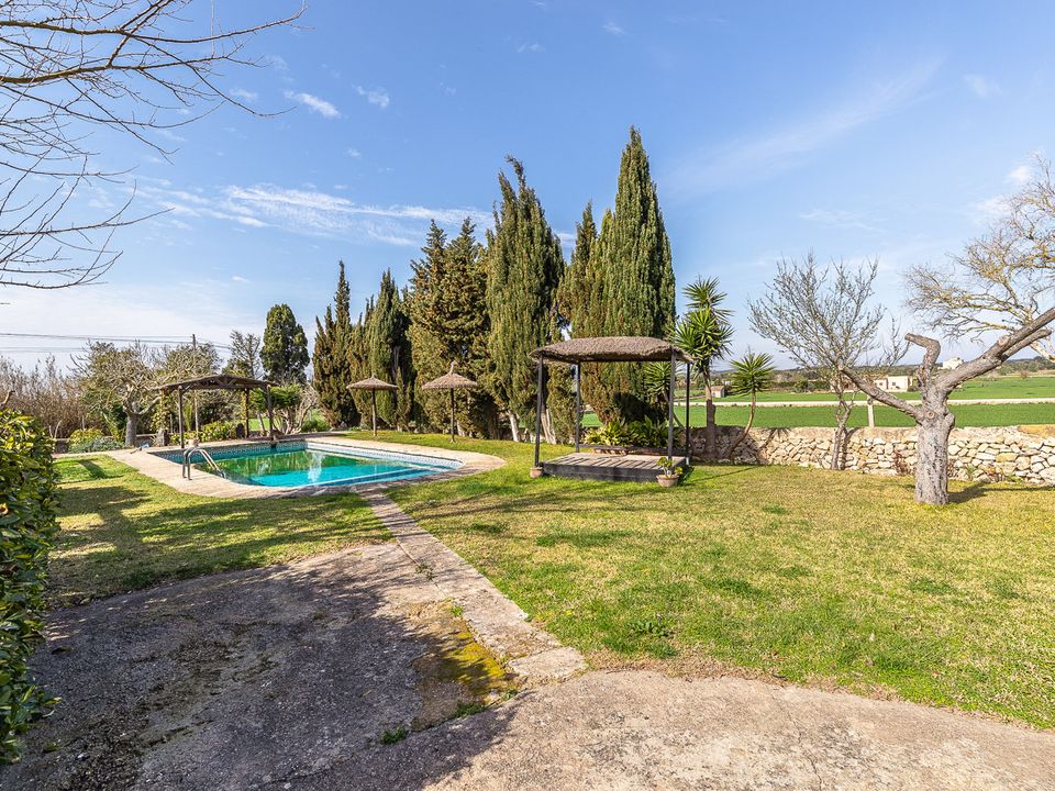 Finca i Felanitx, Mallorca - foto 4