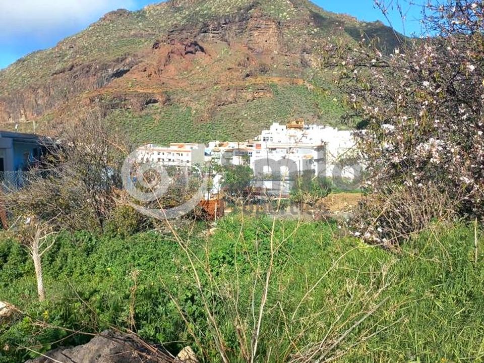 Tomt i Tamaimo, Tenerife - bilde 2