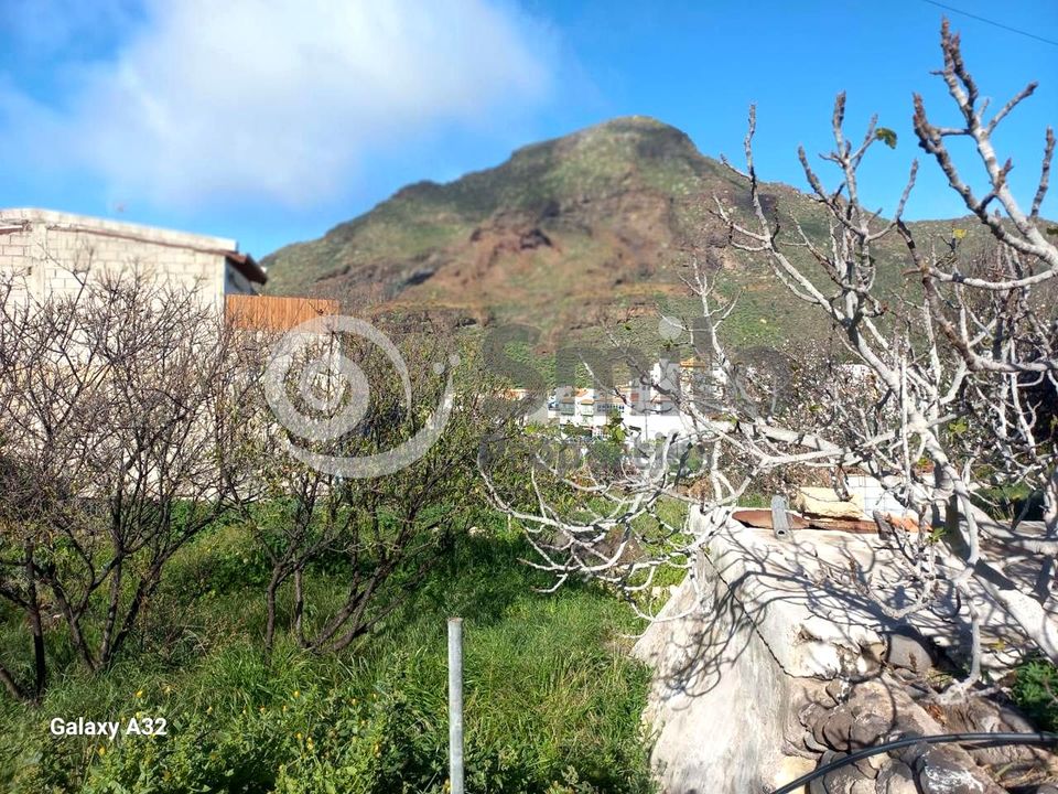 Tomt i Tamaimo, Tenerife - bilde 3