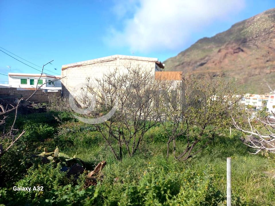 Tomt i Tamaimo, Tenerife - bilde 5