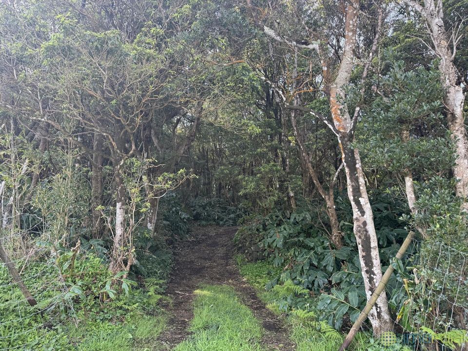 Erhvervsejendom i Horta, Faial - foto 3