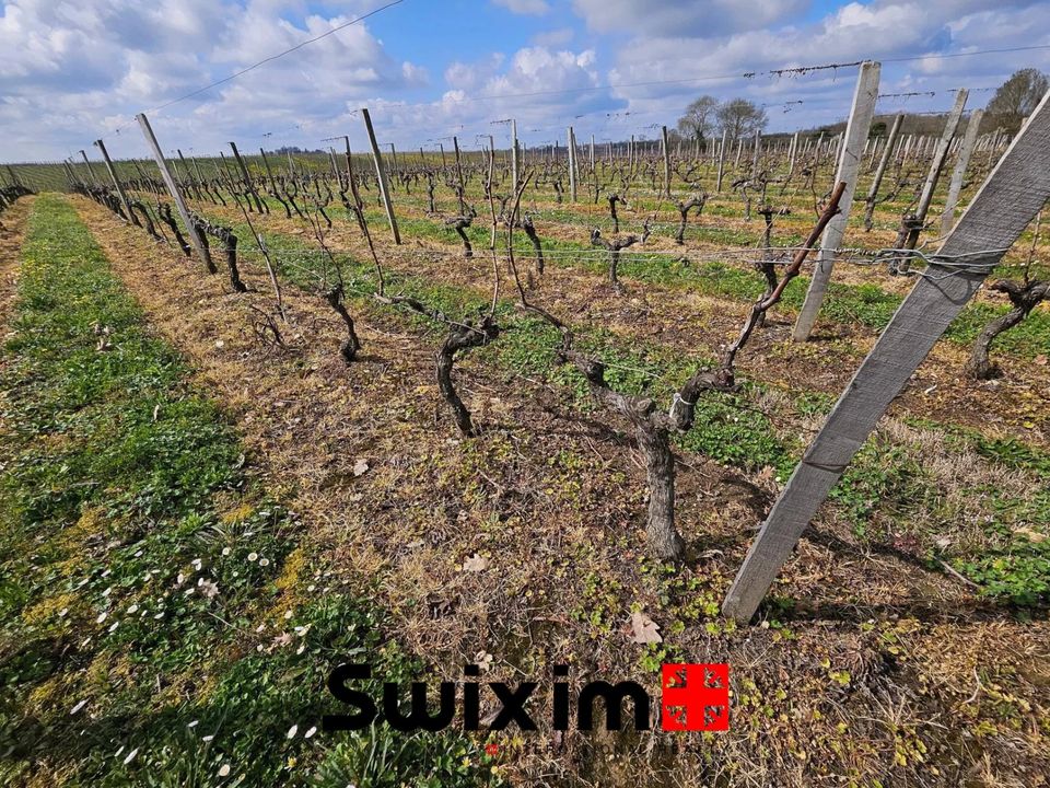 Terra a Ordonnac, Gironde - foto 1