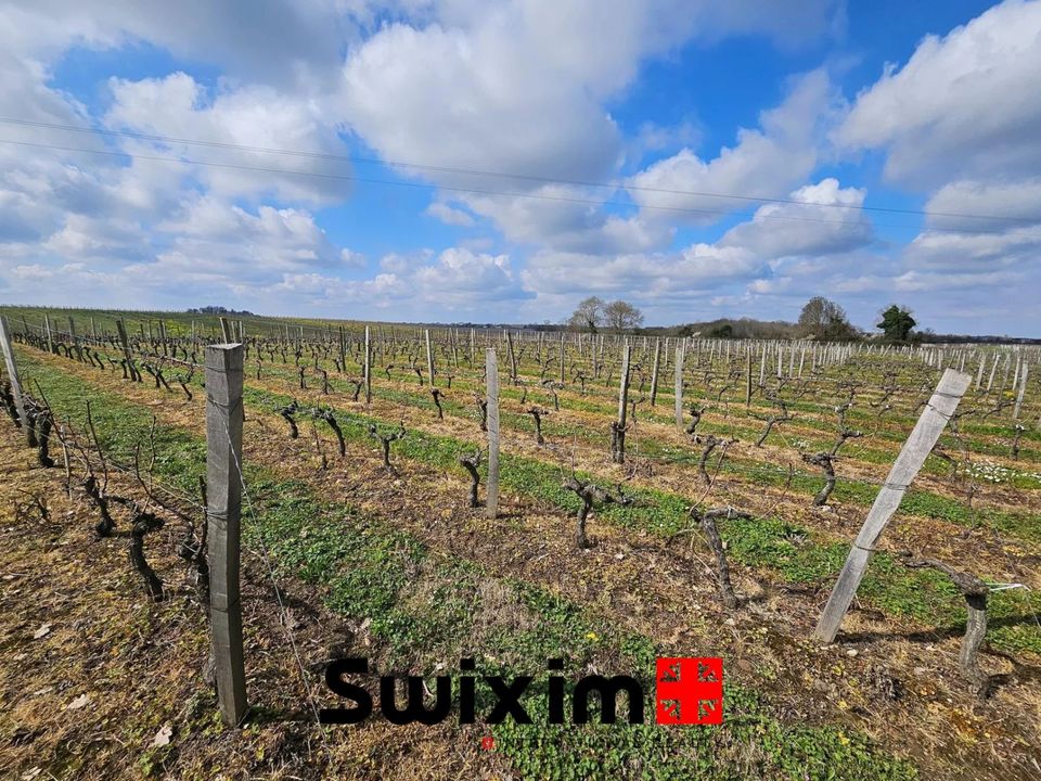 Terra a Ordonnac, Gironde - foto 2