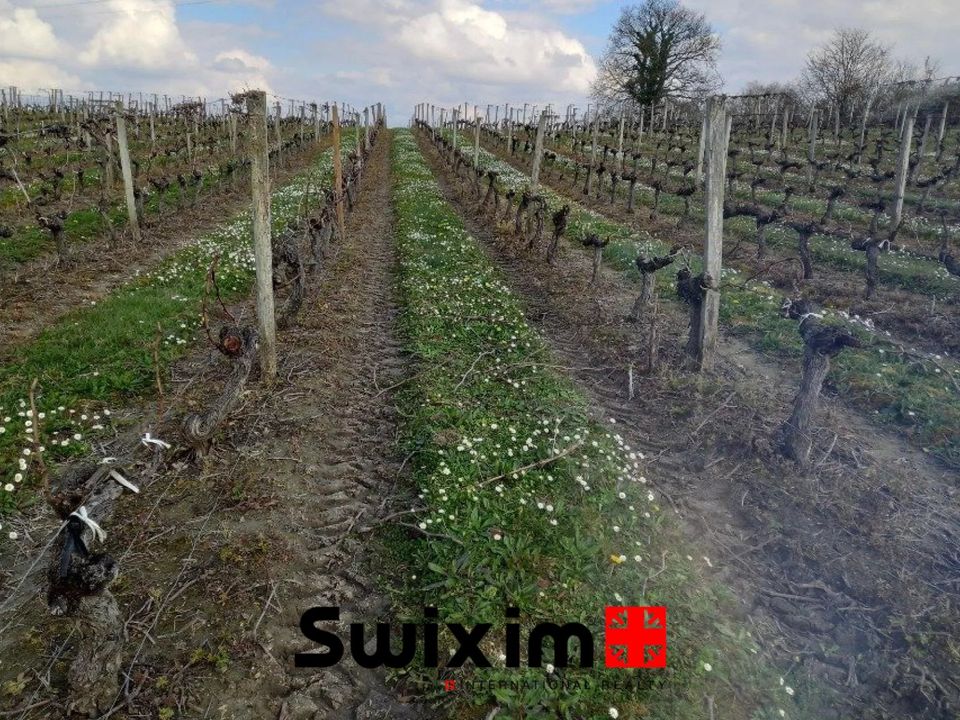 Terra a Ordonnac, Gironde - foto 4