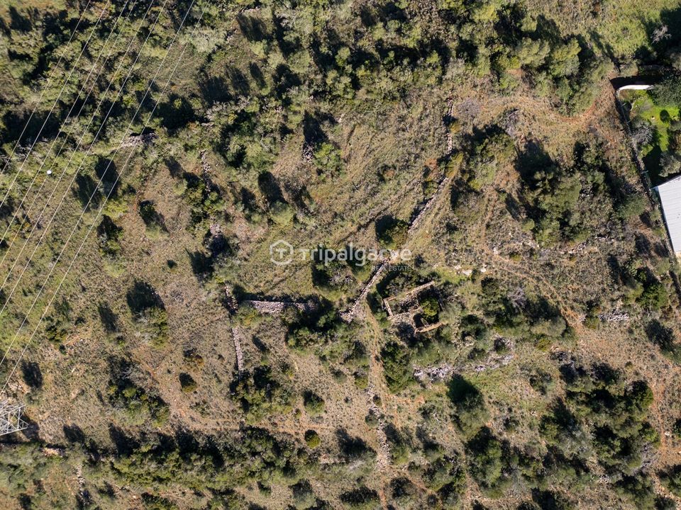 Helårsgrund i Silves, Faro - foto 2