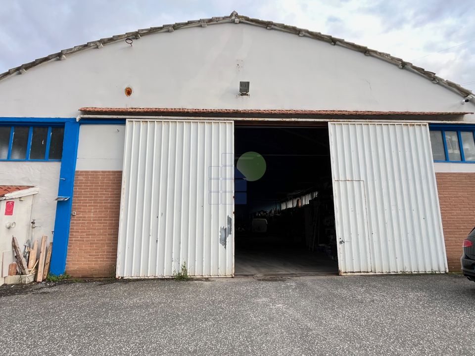 Erhvervsejendom i Montescudaio, Pisa - foto 5
