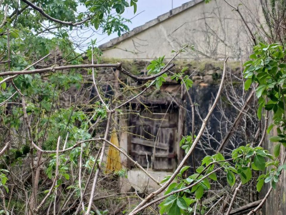 Villa i Torres Novas, Santarem - foto 4