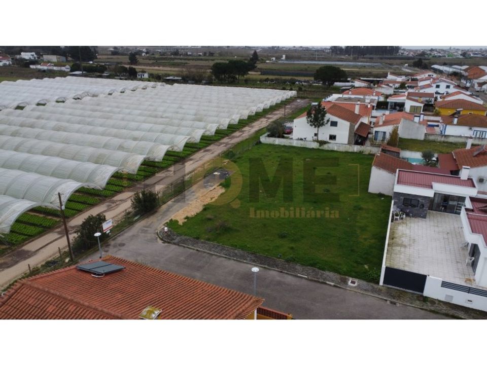 Helårsgrund i Alpiarca, Santarem - foto 4