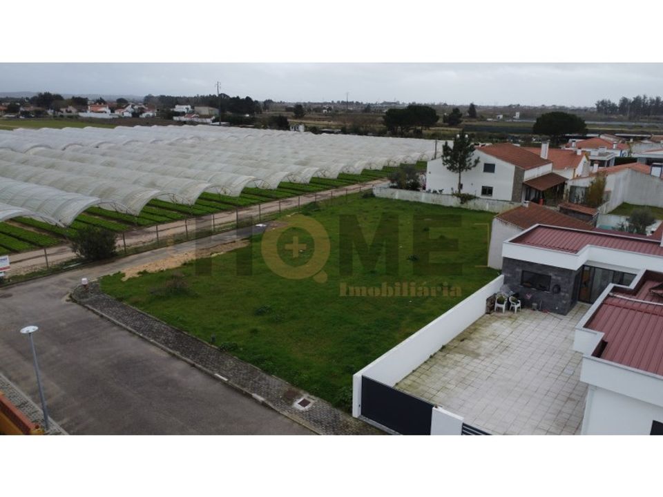 Helårsgrund i Alpiarca, Santarem - foto 5