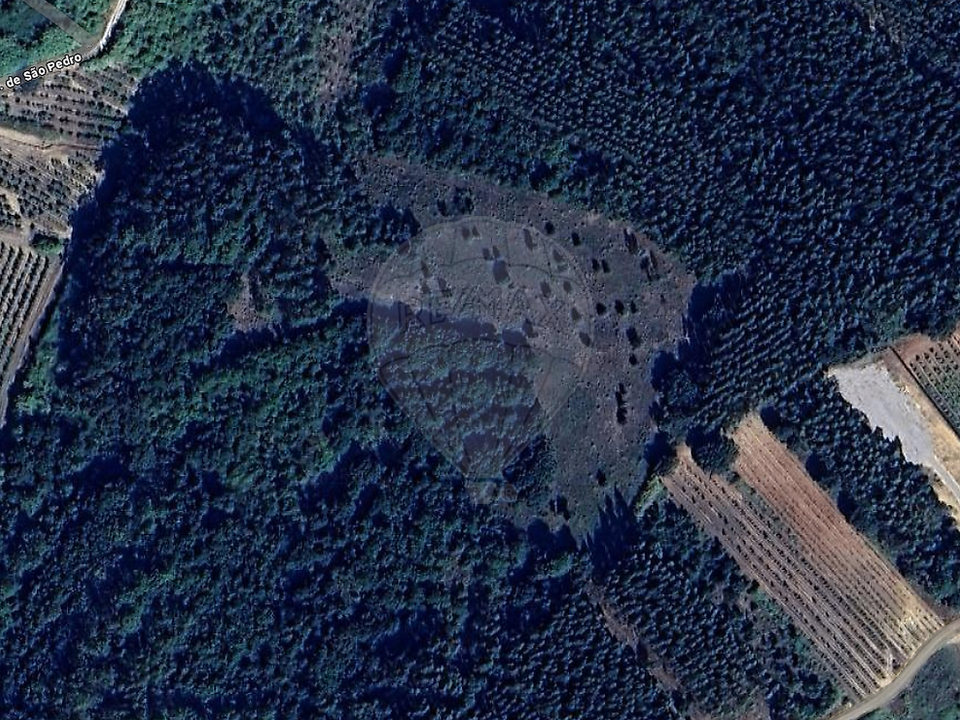 Helårsgrund i Bombarral, Leiria - foto 3