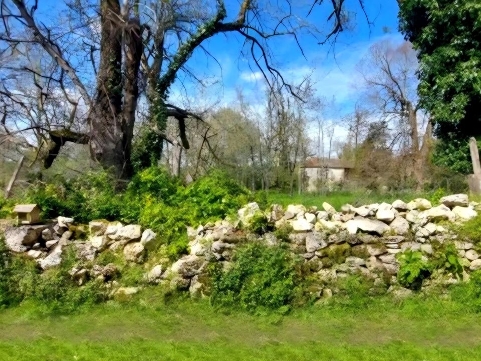 Village house in Eymet, Dordogne - photo 3