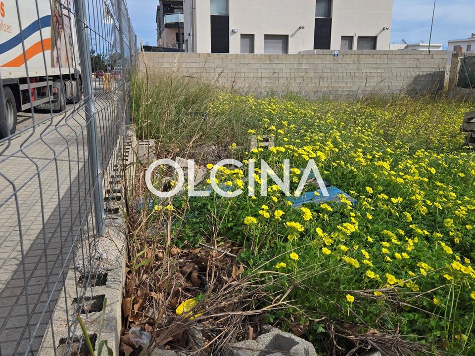 Helårsgrund i Bellreguard, Valencia - foto 5