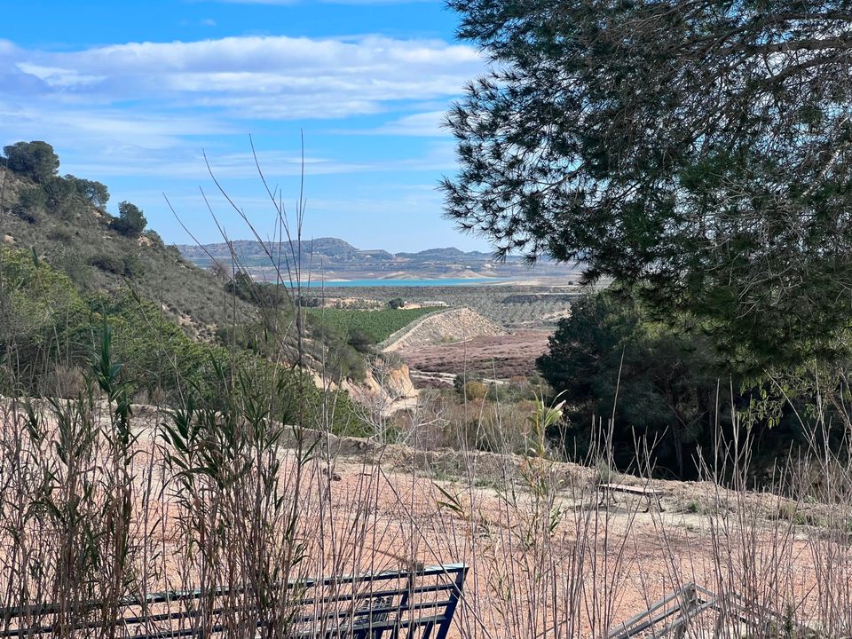 Landejendom i Torremendo, Alicante - foto 5