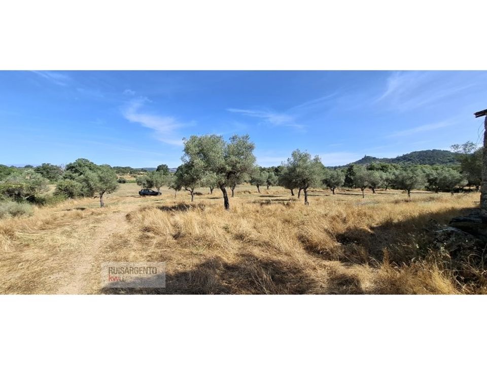 Helårsgrund i Aranhas, Castelo Branco - foto 2