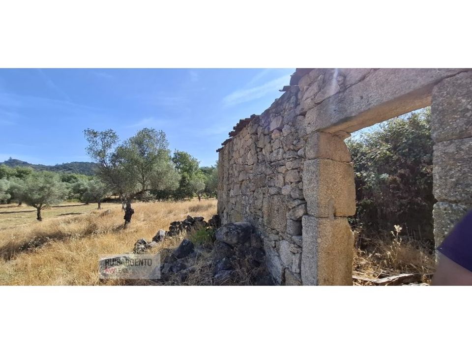 Helårsgrund i Aranhas, Castelo Branco - foto 4