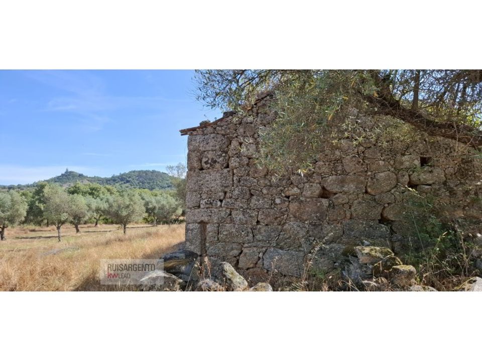 Helårsgrund i Aranhas, Castelo Branco - foto 5