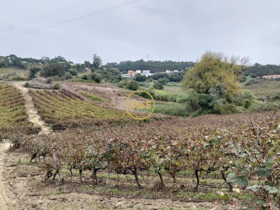 Helårsgrund i Mafra, Lisbon - foto 1