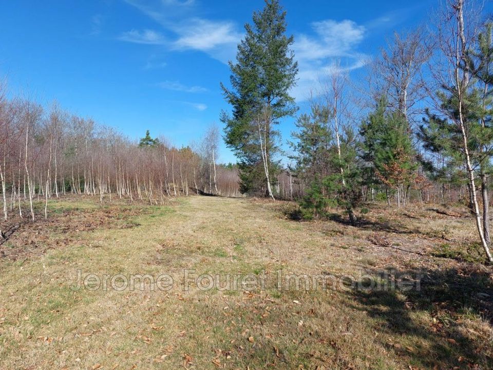 Landejendom i Combressol, Correze - foto 5