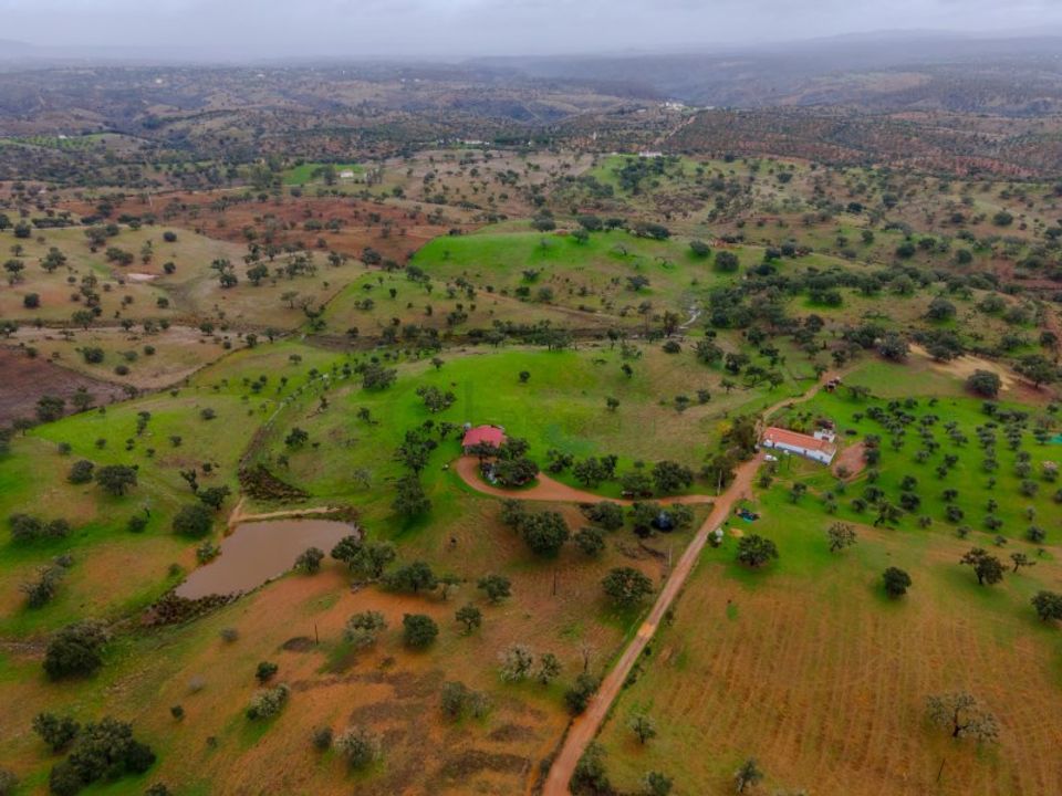 Farm i Vila Verde de Ficalho, Beja - foto 2