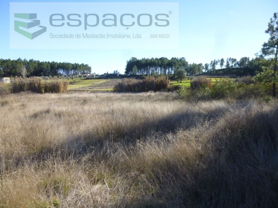 Helårsgrund i Castelo Branco, Castelo Branco - foto 1