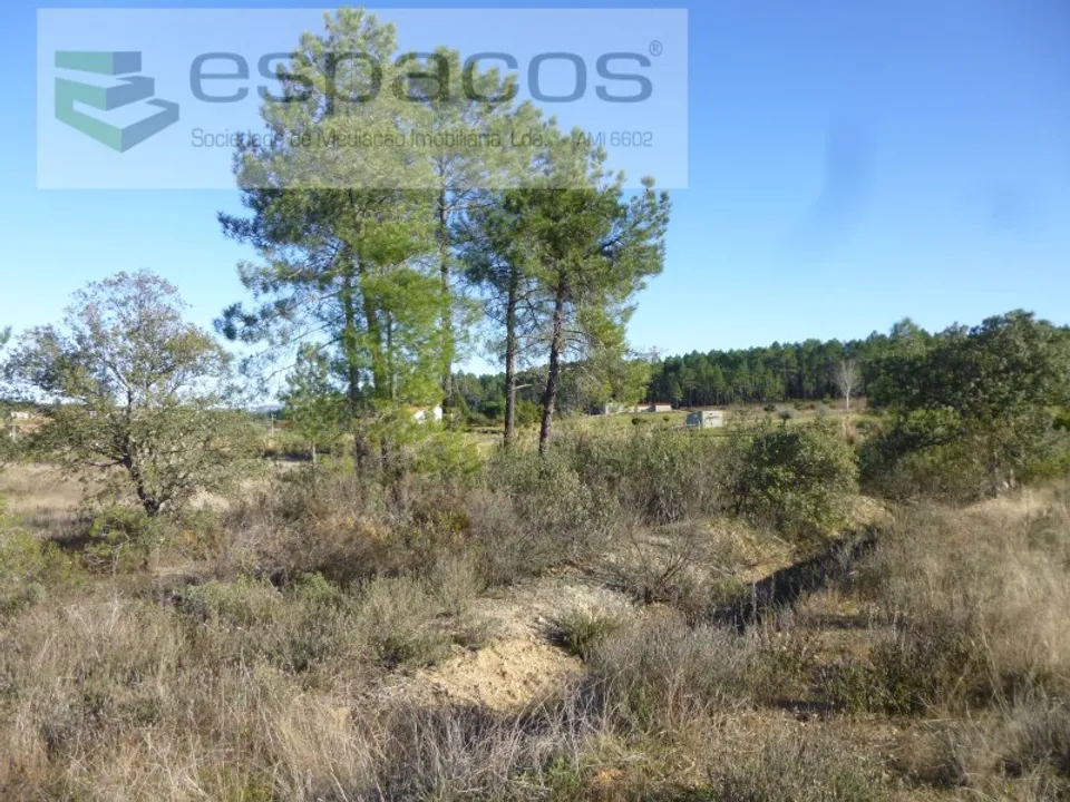 Helårsgrund i Castelo Branco, Castelo Branco - foto 4