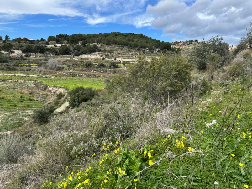 Helårsgrund i Teulada, Alicante - foto 2
