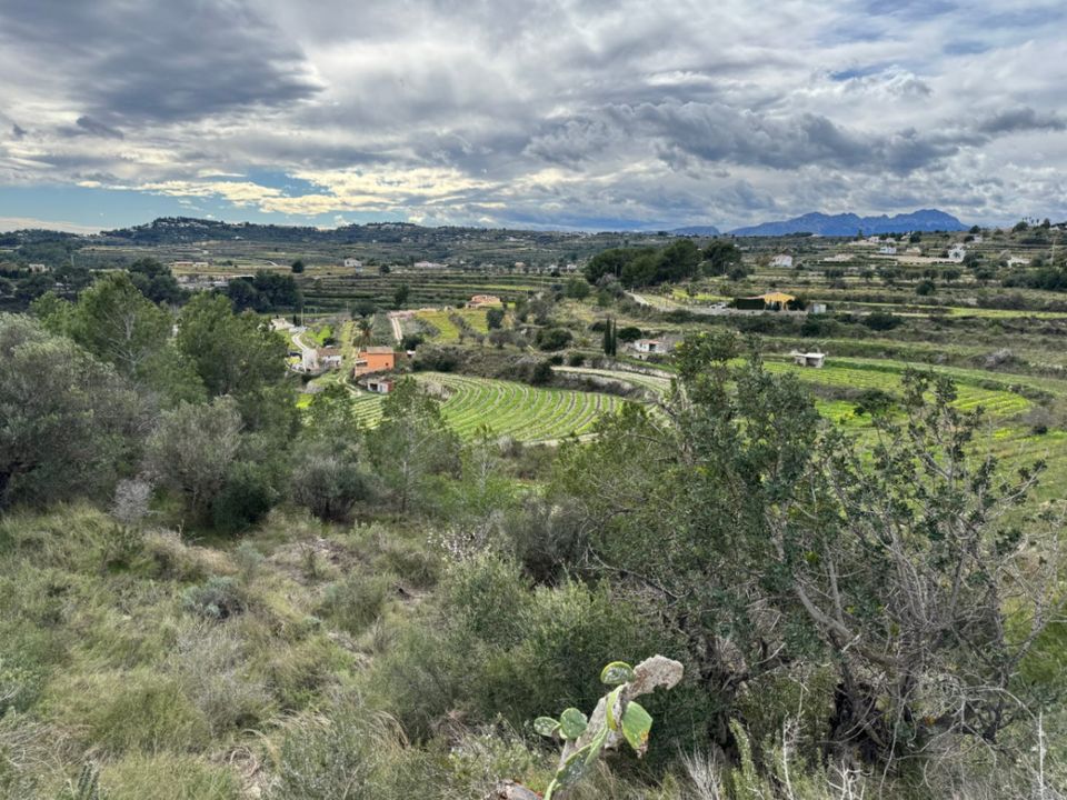 Helårsgrund i Teulada, Alicante - foto 3