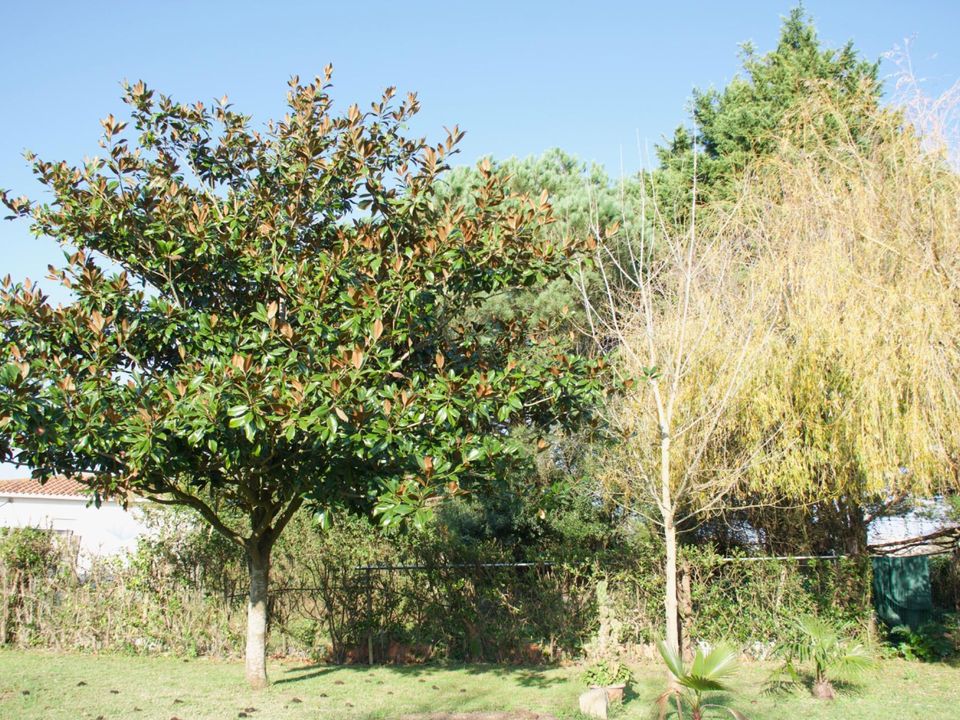 Land in Laredo, Cantabria - photo 3