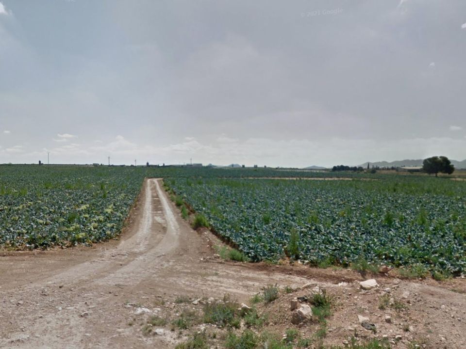 Helårsgrund i Fuente Alamo, Murcia - foto 4