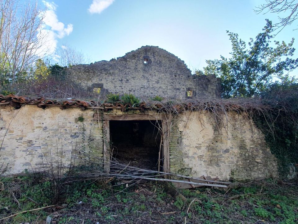 Helårsgrund i Ayala, Alava - foto 5