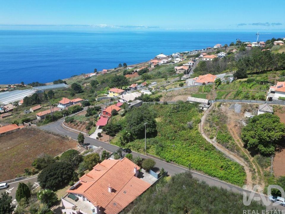 Helårsgrund i Calheta, Madeira - foto 1