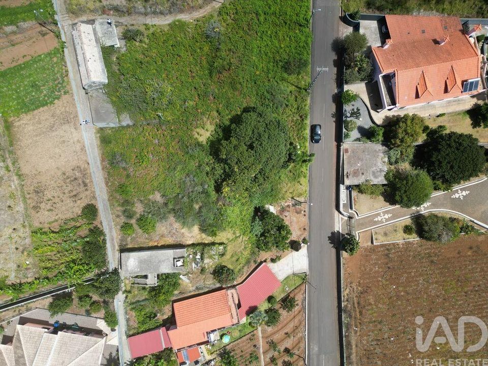 Helårsgrund i Calheta, Madeira - foto 3