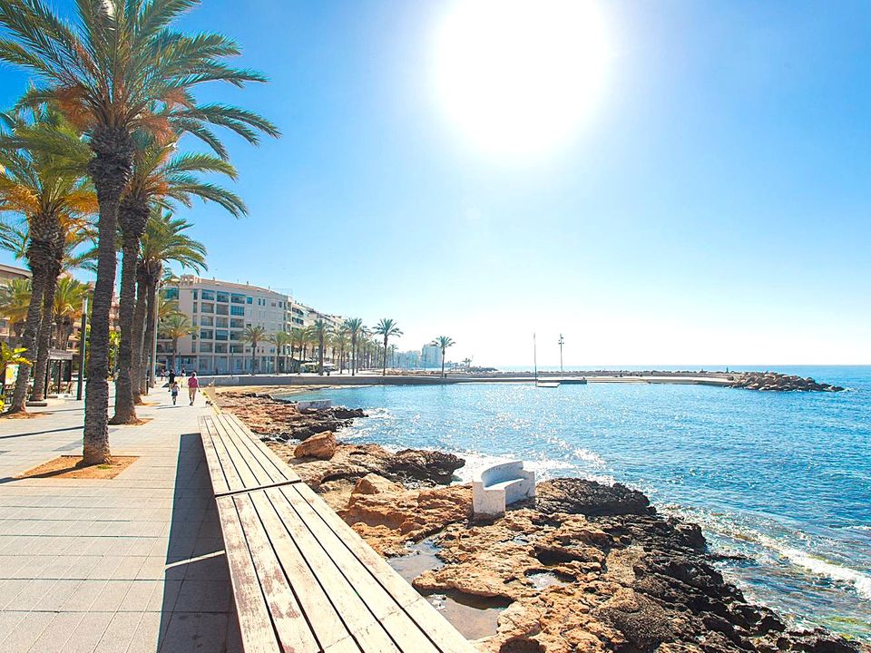 Byhus i El Chaparral, Alicante - foto 5
