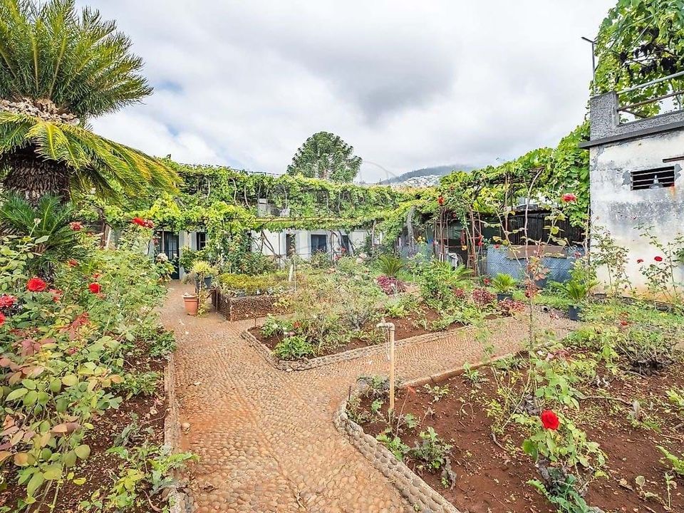 Villa i Sao Roque, Madeira - foto 2