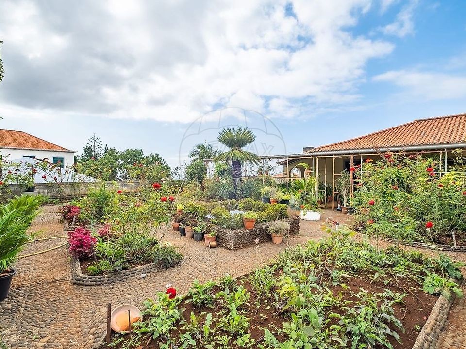 Villa i Sao Roque, Madeira - foto 3