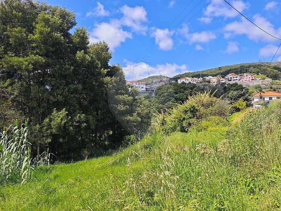 Helårsgrund i Santa Cruz, Madeira - foto 2