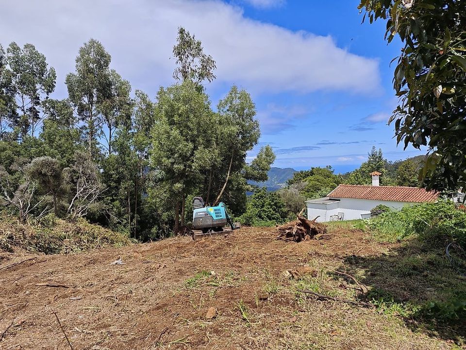 Helårsgrund i Santa Cruz, Madeira - foto 2