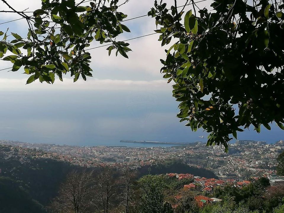 Helårsgrund i Sao Roque, Madeira - foto 1