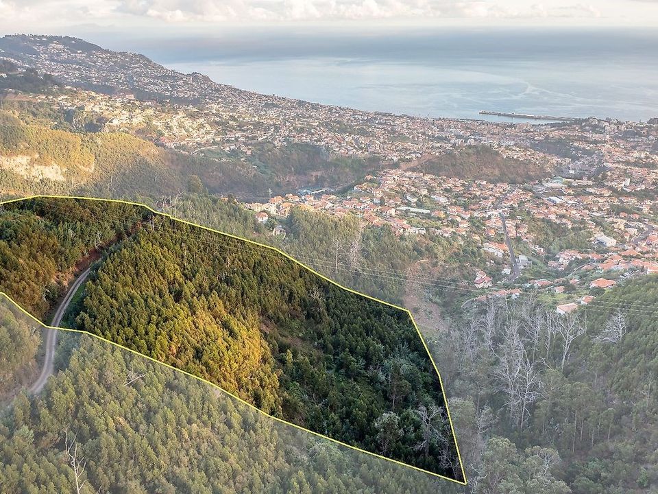 Helårsgrund i Sao Roque, Madeira - foto 2