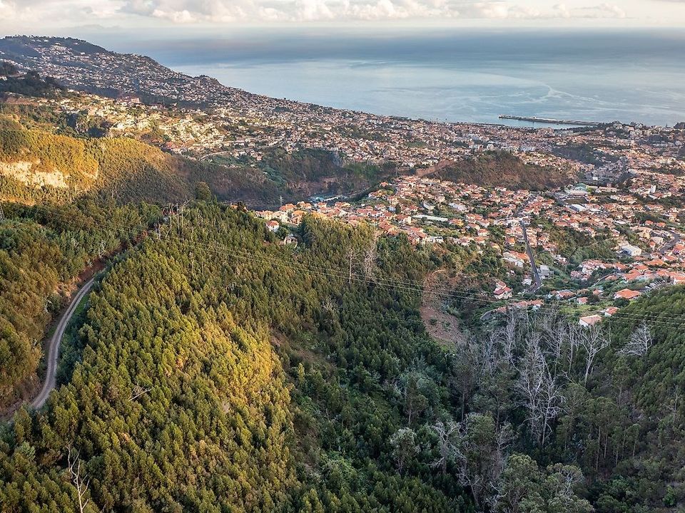Helårsgrund i Sao Roque, Madeira - foto 3