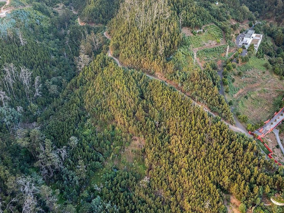 Helårsgrund i Sao Roque, Madeira - foto 5