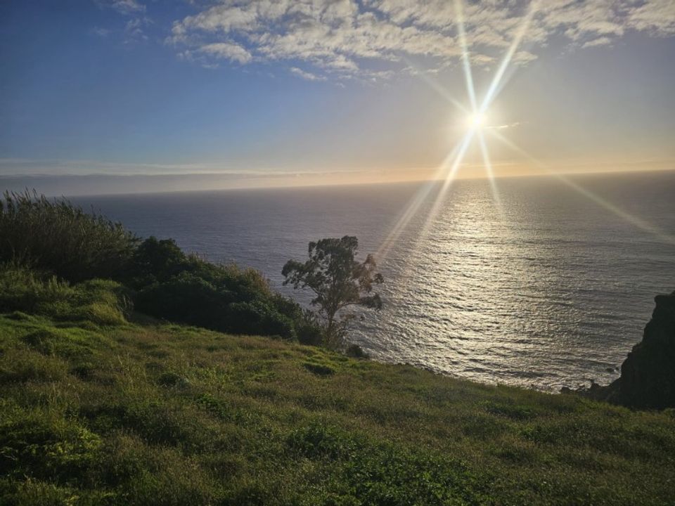 Helårsgrund i Calheta, Madeira - foto 4